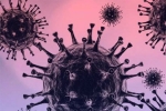 Omicron South Africa, Omicron new updates, south african scientists about omicron variant, Omicron cases