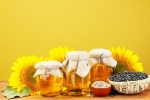 Sunflower Oil benefits, Sunflower Oil consumption, long term effects of consuming sunflower oil on heart health, Toxic