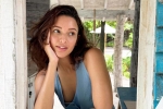 Triptii Dimri upcoming films, Triptii Dimri latest, triptii dimri is eager to sign hollywood films, Vidya