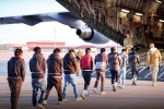 USA Illegal Immigrants arrests, USA Illegal Immigrants updates, usa arrests over 500 illegal immigrants, Young man