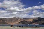 Pangong Lake, borders, india orders china to vacate finger 5 area near pangong lake, Envoy