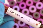 Cure for coronavirus, Vaccine for coronavirus, who warns covid 19 may never go away then what s the future of the world, Trade deal