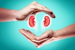World Kidney Day 2025 breaking, World Kidney Day 2025 care, world kidney day 2025 theme and health tips, Smoking