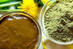 Henna for hair, Henna conditioner, how henna helps for hair growth and health, Henna for hair