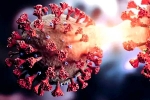 Covid-19 in China breaking news, new coronavirus variant in China, new and highly infectious covid 19 variant emerges in china, Omicron variant