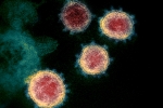 Mu variant latest, Coronavirus Columbia, one more new variant of coronavirus traced in columbia, Anthony fauci