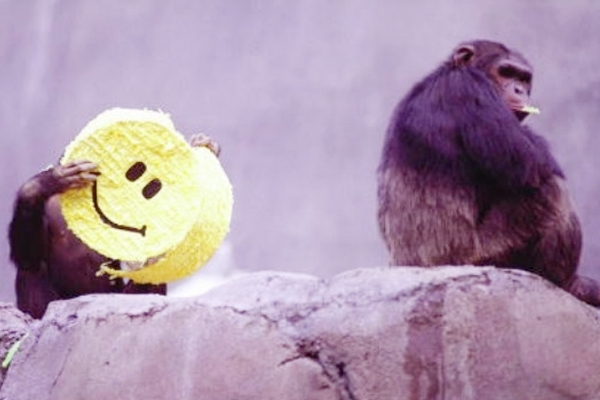 Smiles originated 30 million years ago!